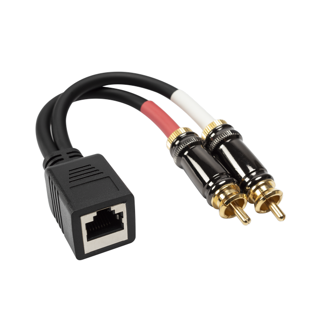 Dual 3.5mm Stereo Male To RJ45 Female Audio Cable